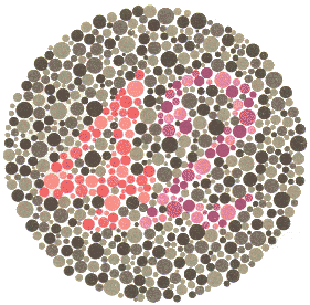 Тест за Далтонизъм (Цветна слепота) на Ишихара картина 17