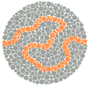 Тест за Далтонизъм (Цветна слепота) на Ишихара картина 24