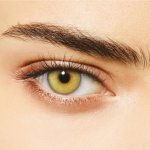 DESIO - Цветни лещи за очи - Wild Green (Диво зелено)